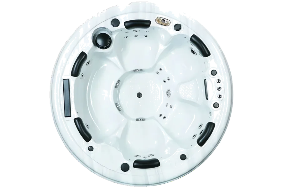 Hot tub BL-865